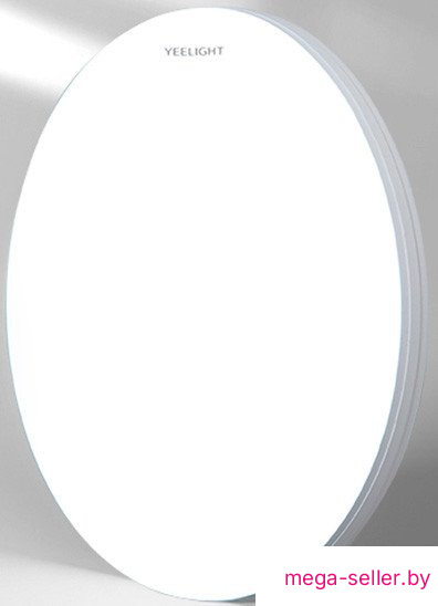 Светильник-тарелка Yeelight Porch Ceiling Light С320