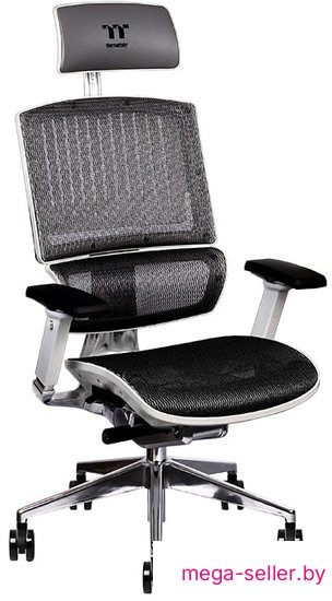 Офисное кресло Thermaltake CyberChair E500 GGC-EG5-BWLFDM-01 (серый)