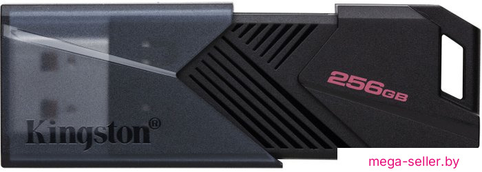 USB Flash Kingston DataTraveler Exodia Onyx 256GB