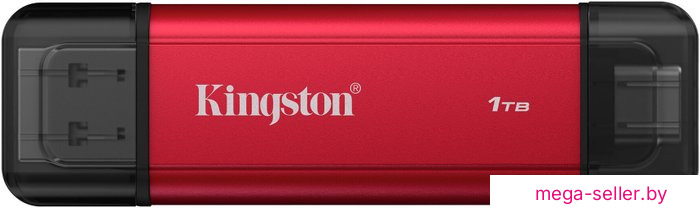 Внешний накопитель Kingston Dual Portable SSD SPSD/1TB