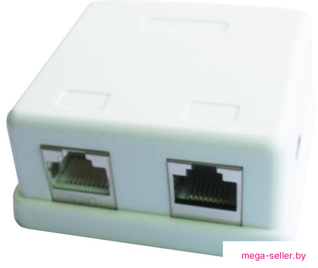 Розетка компьютерная Gembird NCAC-HS-SMB2