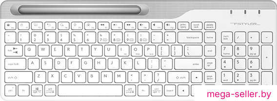 Клавиатура A4Tech Fstyler FBK25 (белый/серый)