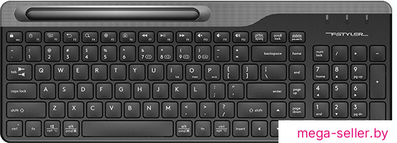 Клавиатура A4Tech Fstyler FBK25 (черный/серый)