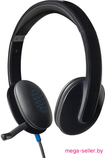 Наушники Logitech USB Headset H540