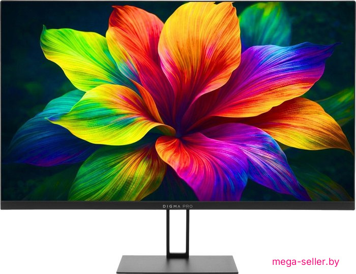 Монитор Digma Pro Motion S TM24SB01