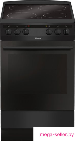 Кухонная плита Hansa FCCM58088