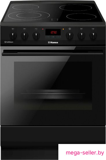 Кухонная плита Hansa FCCM69225H