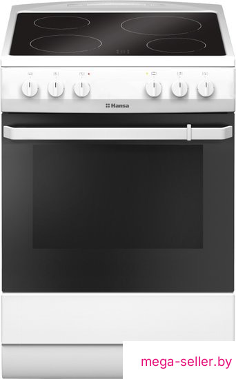 Кухонная плита Hansa FCCW680009