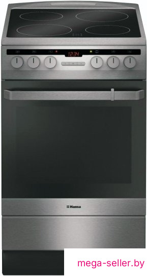 Кухонная плита Hansa FCCX58290