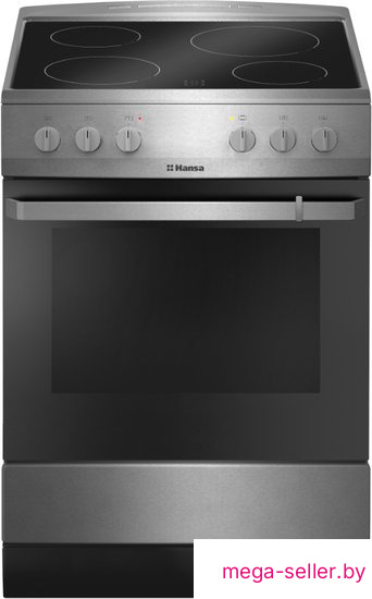 Кухонная плита Hansa FCCX680009