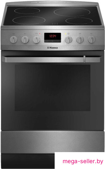 Кухонная плита Hansa FCCX682009