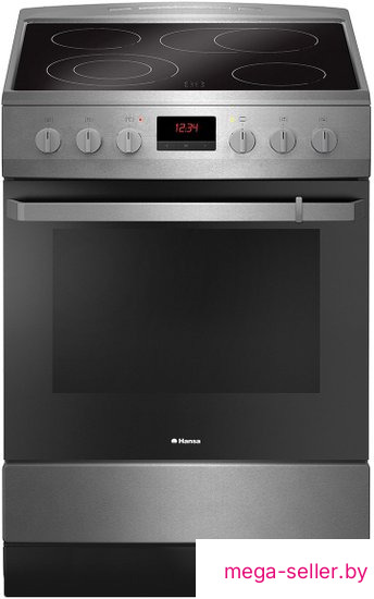 Кухонная плита Hansa FCCX68219