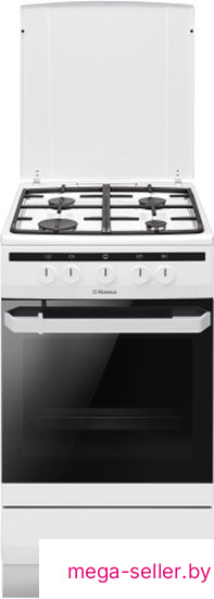 Кухонная плита Hansa FCGW510550