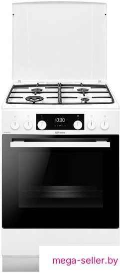 Кухонная плита Hansa FCMW69329