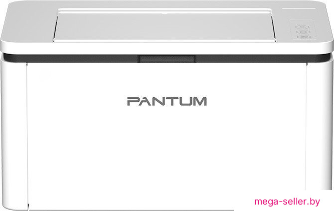 Принтер Pantum BP2300W
