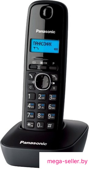 Радиотелефон Panasonic KX-TG1611RUH