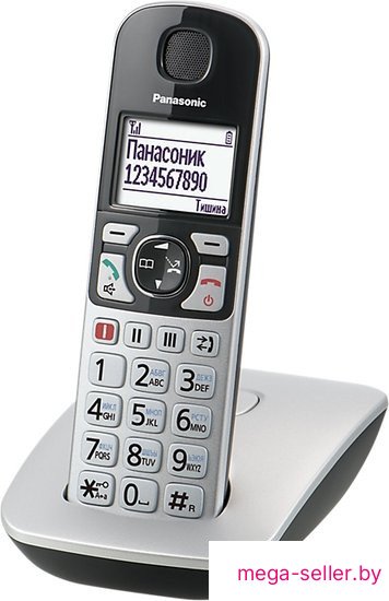 Радиотелефон Panasonic KX-TGE510RUS