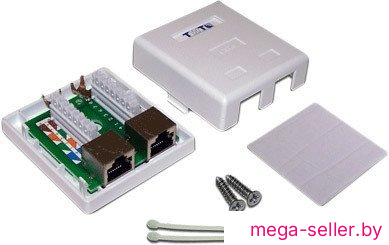 Розетка компьютерная TWT TWT-SM2-4545/S6-WH