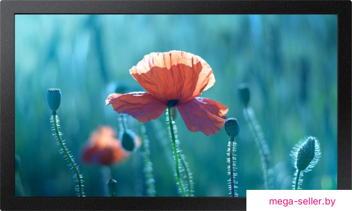 Интерактивная панель Samsung QB13R