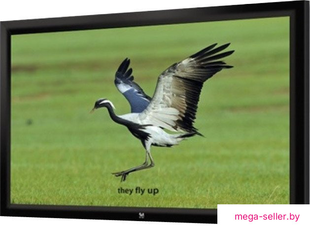 Проекционный экран Seemax Highland 4:3 305x229 FH150VPM
