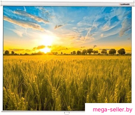 Проекционный экран Lumien Eco Picture (LEP-100105)