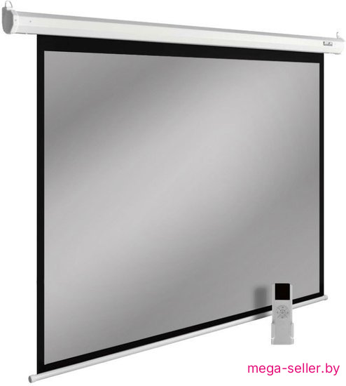 Проекционный экран CACTUS SIlverMotoExpert 138x220 CS-PSSME-220X138-WT