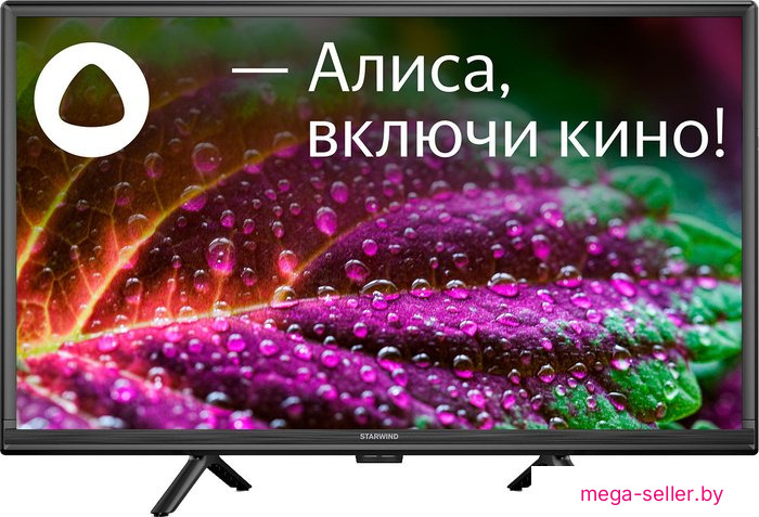 Телевизор StarWind SW-LED24SG304