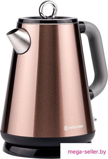 Электрический чайник Evolution KP17153 Steel