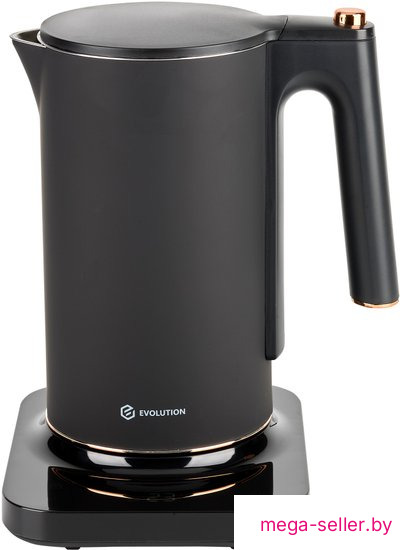 Электрический чайник Evolution KP22151L Thermocontrol