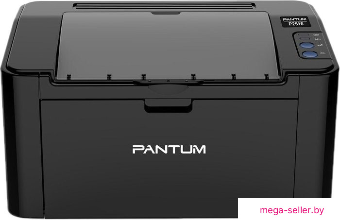 Принтер Pantum P2516