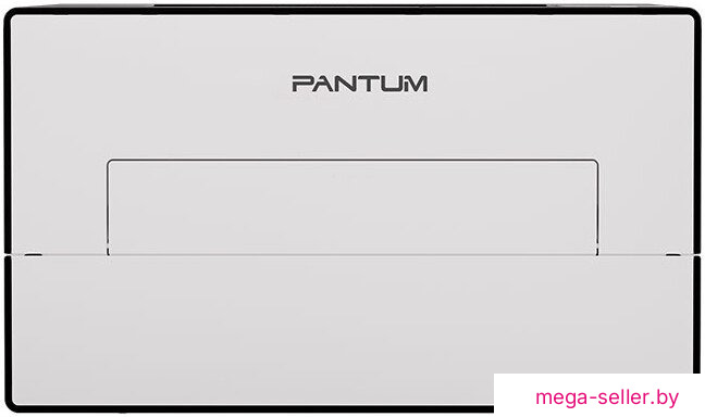 Принтер Pantum BP4211DN