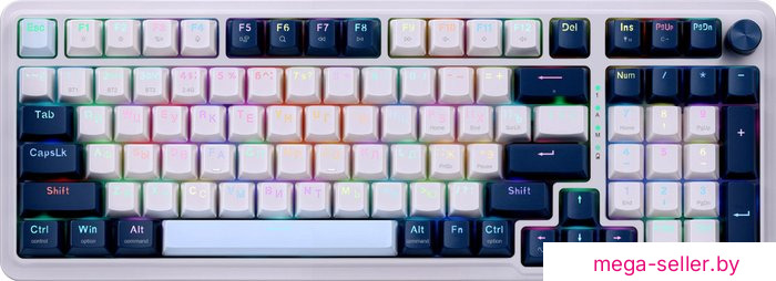 Клавиатура Redragon Eisa Pro (Outemu Brown)