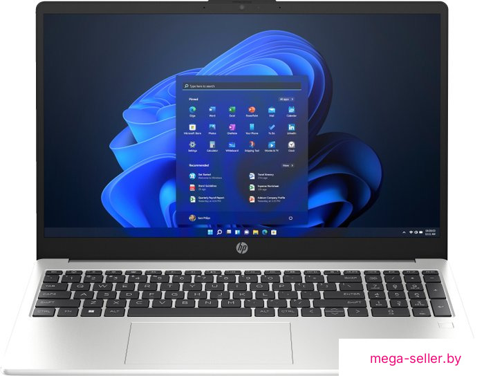 Ноутбук HP 255 G10 CW0W9AT