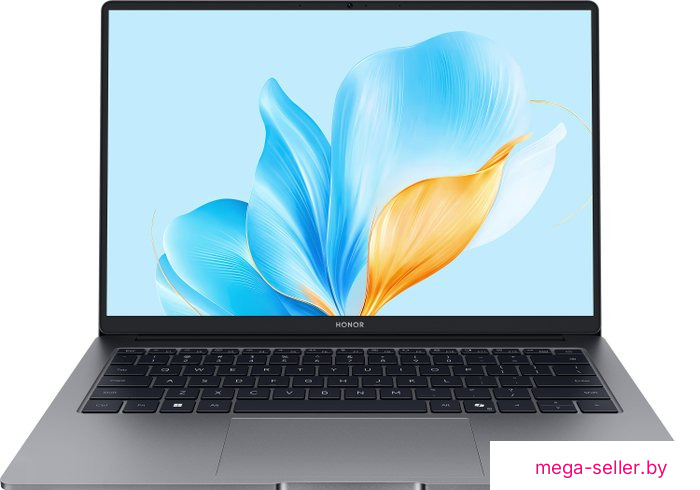 Ноутбук HONOR MagicBook X14 Plus 2025 FRB-X 5301ALWC