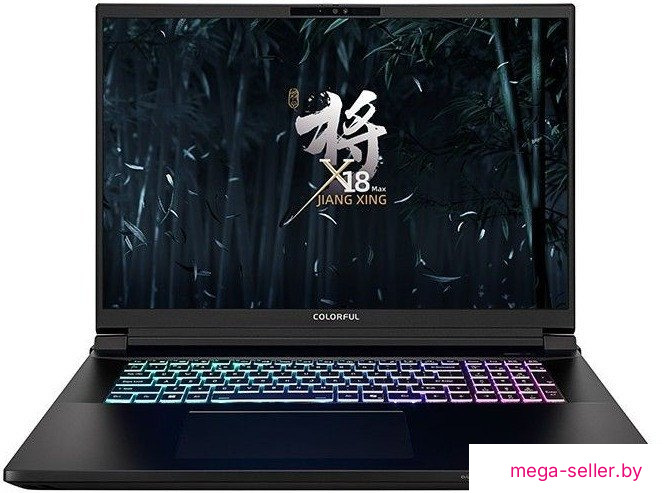 Игровой ноутбук Colorful X18 Max A10207000032