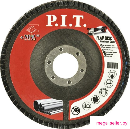 Шлифовальный круг P.I.T. APLS01-12560