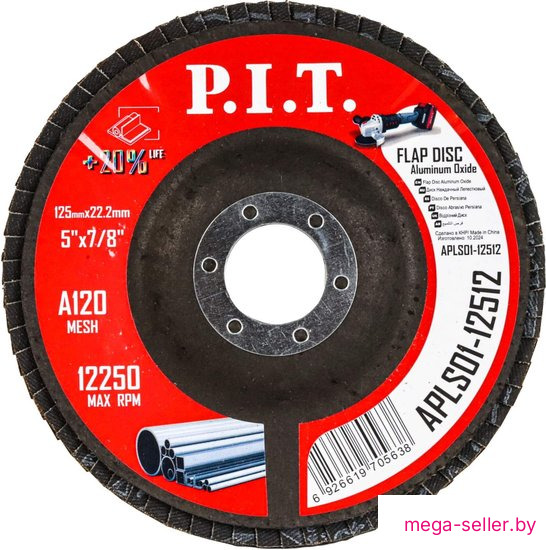 Шлифовальный круг P.I.T. APLS01-12512