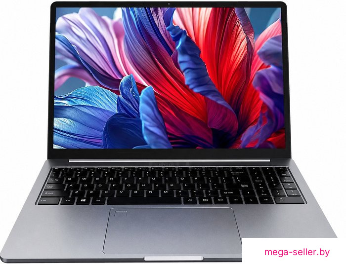 Ноутбук Ninkear N16 Pro 2026 24GB/1TB