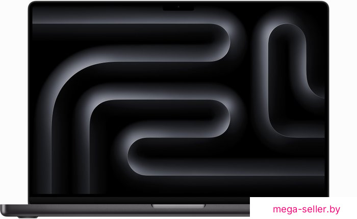 Ноутбук Apple MacBook Pro 16.2" M4 Max 2024 MX313