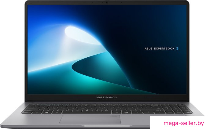 Ноутбук ASUS ExpertBook P1 P1503CVA-S72508