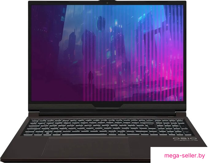 Игровой ноутбук OSiO CyberLine C160i-003