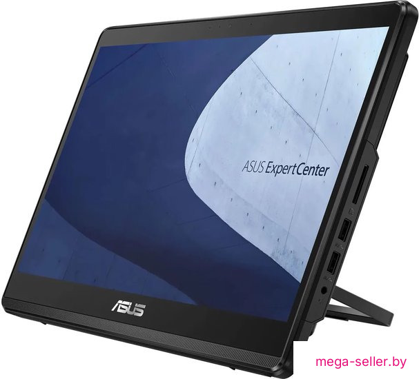 Моноблок ASUS ExpertCenter E1 E1600WKAT-BMR204M