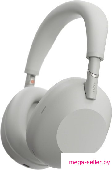 Наушники Sony WH-1000XM6 (серый)