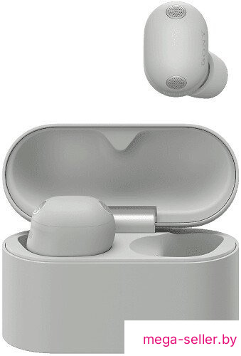 Наушники Sony WF-1000XM6 (серый)