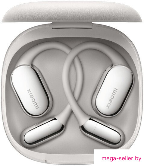 Наушники Xiaomi OpenWear Stereo Pro M2503E1 (титановый серый, международная версия)