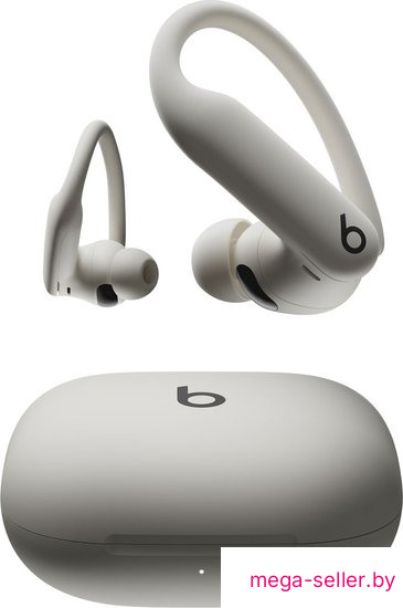 Наушники Beats Powerbeats Pro 2 (серый)