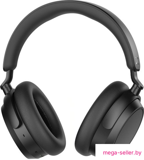 Наушники Sennheiser Accentum Plus (черный)