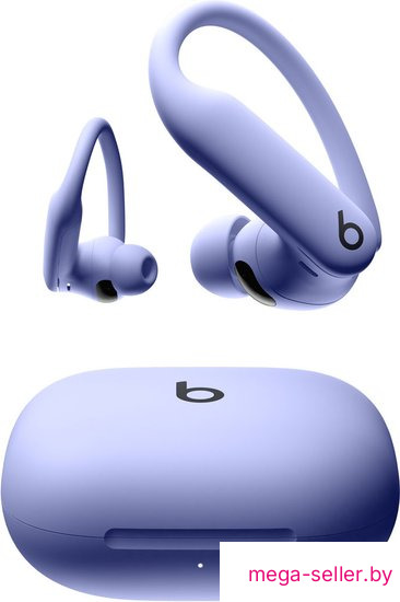 Наушники Beats Powerbeats Pro 2 (сиреневый)