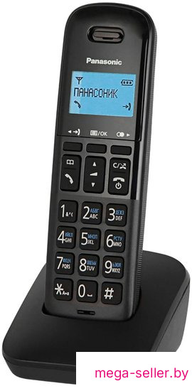 Радиотелефон Panasonic KX-TGB610RUB