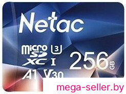 Карта памяти Netac microSDXC P500 Ultra 256GB NT02P500ULT-256G-S